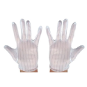 Gants Antistatique