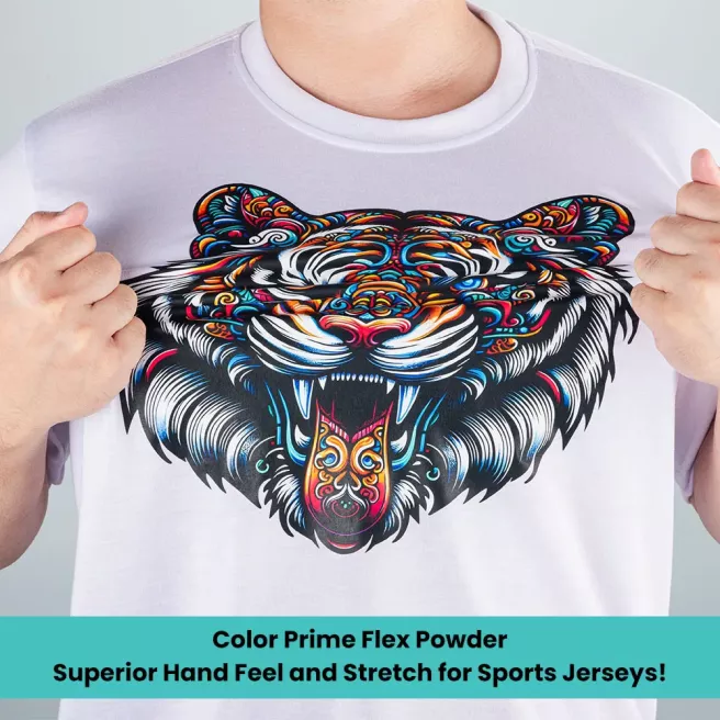 Color Prime FLEX DTF Powder-1kg/bag