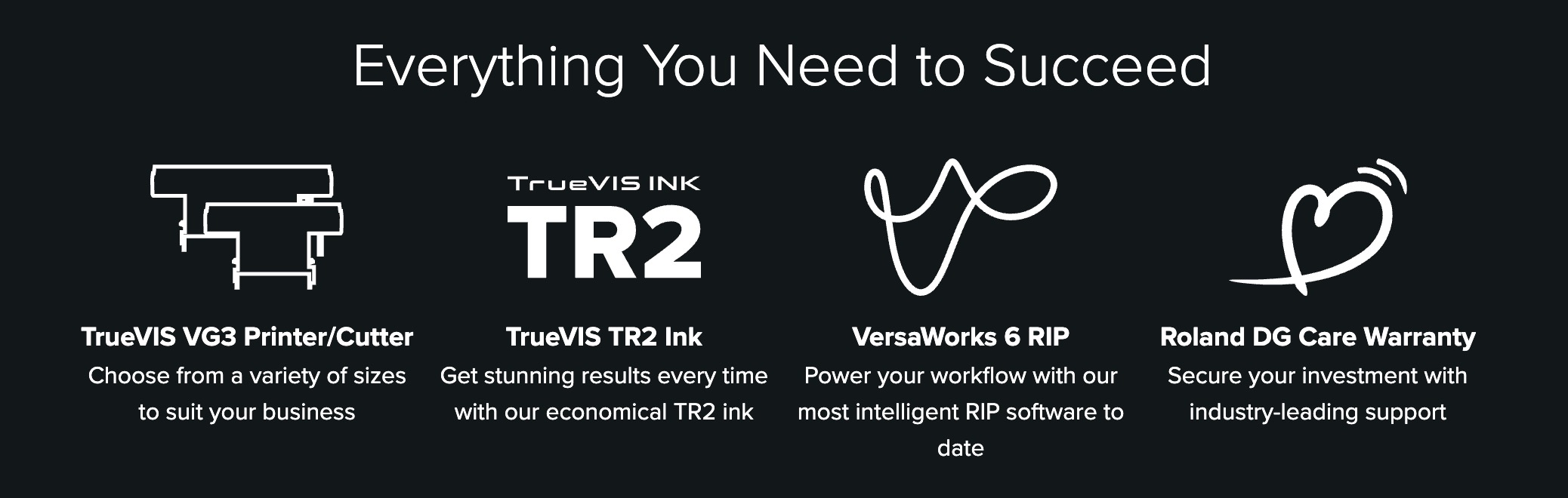 VG3 Key elements for success