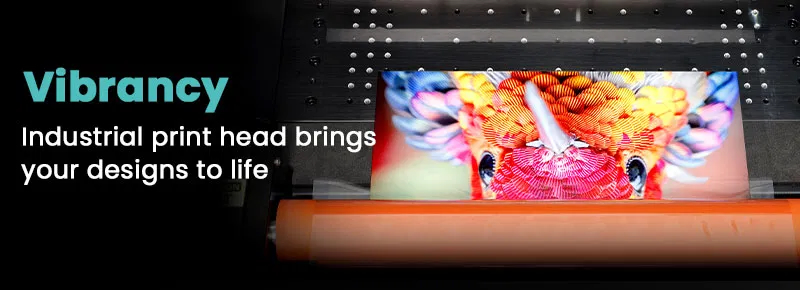 Aries 213 Colour vibrancy